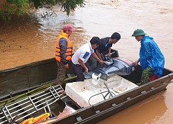 Tìm thấy thi thể người cha sau khi 2 cha con bị nước lũ cuốn mất tích