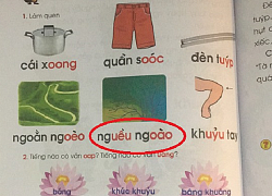 Tranh cãi sách giáo khoa Tiếng Việt lớp 1: 'Nghều ngoào' hay 'nguều ngào', 'đàn oóc' hay 'đàn organ'