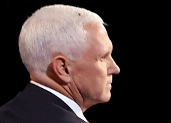 Tranh luận Pence-Harris: Sinh vật nhỏ bé gây bão MXH khi vô tư &#8220;hạ cánh&#8221; nơi mái tóc bạc của ông Pence