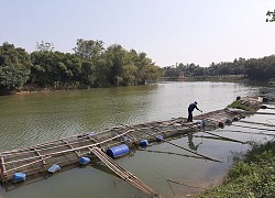 TT &#8211; Huế: Khuyến cáo người nuôi cá lồng chủ động phòng chống với mưa lớn