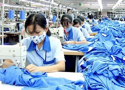 85% vải phục phục vụ cho ngành dệt may phải nhập khẩu từ nước ngoài