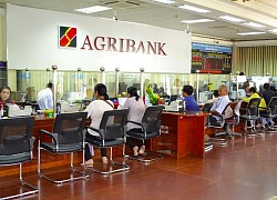 Agribank dành 5.000 tỷ đồng cho vay ưu đãi khách hàng doanh nghiệp FDI