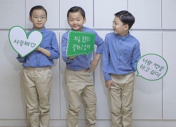 Ba nhóc tỳ Daehan - Minguk - Manse ngày càng lớn phổng phao, cậu cả gây chú ý vì giống y chang bố