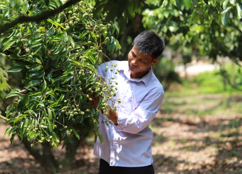 Bắc Giang: Chuyển đổi cơ cấu nông nghiệp đúng hướng, nông dân làm giàu, xuất hiện nhiều tỷ phú