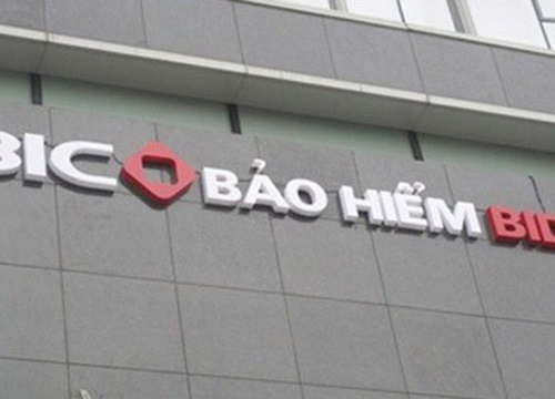 Bảo hiểm BIDV chia cổ tức tiền mặt 8%