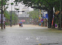 Các địa phương từ Quảng Ninh đến Phú Yên chủ động ứng phó với áp thấp nhiệt đới