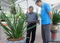 Hà Nội: Hàng trăm đặc sản OCOP quy tụ, nhiều hoạt động hấp dẫn khiến du khách thích thú