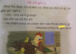 Là phụ huynh có con học lớp 1, tôi thấy nhiều cha mẹ chê SGK thậm tệ và ước con được học giống ngày xưa, các vị đang muốn kéo lùi giáo dục về 30 năm trước sao?