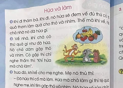 Những bài học gây tranh cãi trong sách giáo khoa Tiếng Việt lớp 1