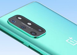 OnePlus &#8220;nhá hàng&#8221; OnePlus 8T: Cụm camera mới, mặt lưng kính, ra mắt vào 14/10