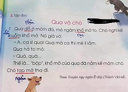 Sách tiếng Việt lớp 1 liên tiếp gây tranh cãi: Dạy trẻ lươn lẹo, trốn việc, thiếu trách nhiệm?