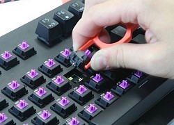 Vì sao switch chuột dễ bị double click còn switch bàn phím thì gần như không?