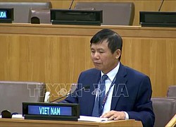 Việt Nam khẳng định ASEAN ủng hộ các nỗ lực quốc tế về chống phổ biến và giải trừ quân bị các loại vũ khí hủy diệt