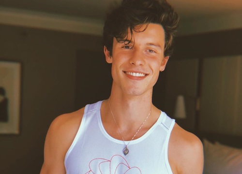 Ý nghĩa loạt hình xăm của Shawn Mendes