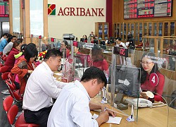 Agribank - Top 3 doanh nghiệp nộp thuế lớn nhất Việt Nam năm 2019