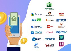 Appota nhận giấy phép ví điện tử AppotaPay tại Việt Nam