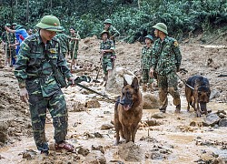 Bài thơ "Gọi tìm đồng đội" viết về 13 cán bộ, chiến sĩ gặp nạn trên đường đi cứu hộ thủy điện Rào Trăng 3 gây xúc động mạnh