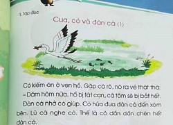 Bản quyền ngữ liệu sách Tiếng Việt lớp 1: Có hay không?