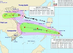 Bão số 7 tiến vào các tỉnh Thái Bình - Nghệ An, gió giật cấp 11