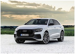 Bộ đôi Audi Q8 TFSIe Quattro được ra mắt tại châu Âu