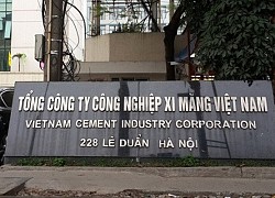 Bộ Tài chính đề nghị Bộ Xây dựng giám sát VICEM