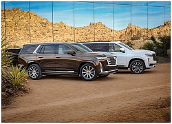 'Xe khủng long' Cadillac Escalade có thể thách thức BMW X7 M50i hay Mercedes-AMG GLS 63 bằng phiên bản này