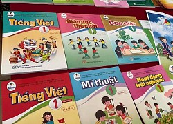 Chuyên gia đề xuất lập Hội đồng thẩm định mới để 'phán quyết' sách Tiếng Việt 1