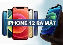 iPhone 12 chính thức ra mắt, iPhone XR và iPhone 11 đồng loạt giảm giá