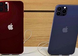 iPhone 12 đầu tiên về Việt Nam như thế nào?