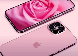 iPhone 12 không có màu hồng, Linh Ngọc Đàm đăng status khóc lóc cùng hội chị em vì dính phải "cú lừa"