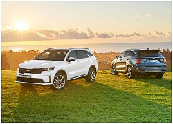 Kia Sorento bỏ xa Hyundai Santa Fe về doanh số