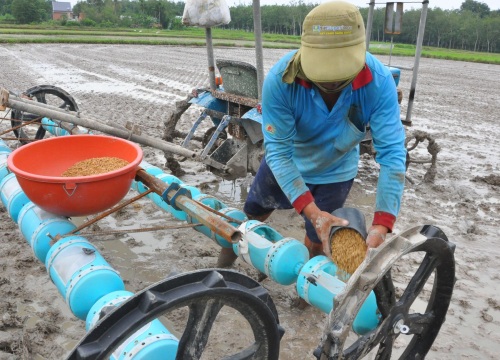 Một nông dân tỉnh Tây Ninh cải tiến thành công máy sạ hàng, kéo vèo 1 cái đã xong 1ha lúa quý hiếm ST25