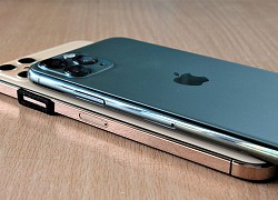 Người dùng bất mãn vì iPhone 12 không bán kèm phụ kiện