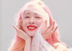 Người hâm mộ tưởng niệm một năm Sulli qua đời