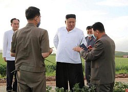 Nhà lãnh đạo Triều Tiên Kim Jong-un thị sát vùng bị thiên tai tàn phá