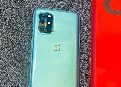 Tất cả về OnePlus 8T 5G trước thềm ra mắt