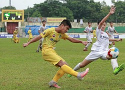 U13 SLNA lập kỷ lục về số lần vô địch