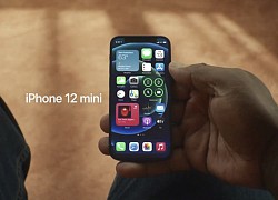 Vì sao iPhone 12 mini thu hút mọi sự chú ý?