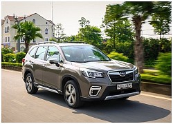 Giá bán Subaru Forester tại Việt Nam giảm về mức 899 triệu đồng