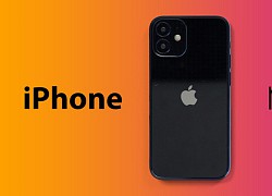 iPhone 12 chính hãng loạn giá, chênh lệch nhau gần 4 triệu đồng