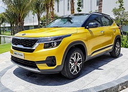 KIA Seltos lấn át các đối thủ trong cuộc đua doanh số tháng 9/2020