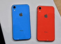 Mẫu Iphone 12 đáng mua nhất