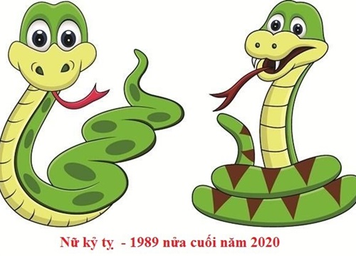 Nữ Kỷ tỵ - 1989 nửa cuối năm 2020: Đột phá trong sự nghiệp, tài lộc đầy nhà, tình duyên thăng hoa