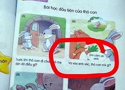 Tiếng Việt 1 Cánh Diều nhiều lỗi, sai ngôn ngữ, góc nhìn, đối tượng... sửa làm sao?