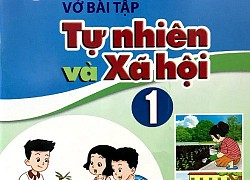 Tranh cãi chuyện vở Bài tập Tự nhiên và Xã hội lớp 1 dùng từ chỉ bộ phận nhạy cảm, chuyên gia nói gì?