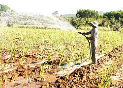 Triển khai nhiều chính sách giảm nghèo