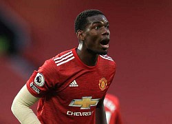 Vừa nói lời mơ mộng về Real, Pogba được MU gia hạn hợp đồng