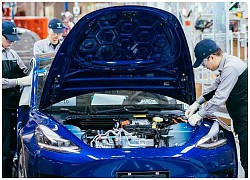 Tesla xuất khẩu xe điện từ Trung Quốc sang châu Âu