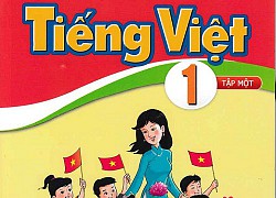 Bộ nên tạm dừng triển khai chương trình mới ở lớp 2 và lớp 6 trong năm học tới