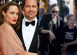 Brad Pitt chống lại Angelina Jolie để giành quyền đưa các con đi nghỉ lễ